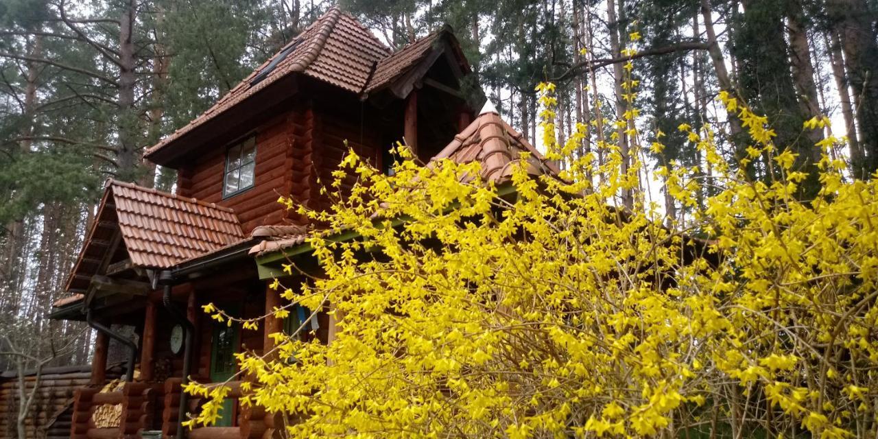 Villa Georgia Aardla Ngoại thất bức ảnh